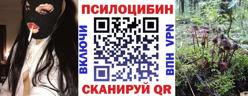 Галлюциногенные грибы Cubensis  Руза 