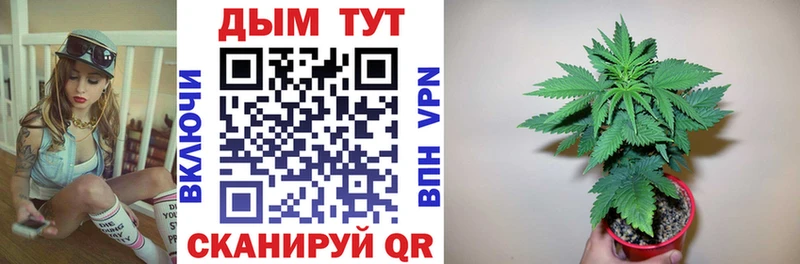 сайты даркнета официальный сайт  Руза  Бошки марихуана сатива  наркота 